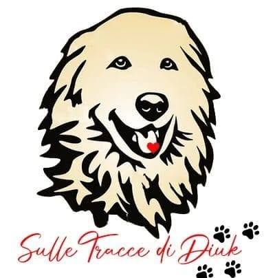 Logo Canile municipale di Albenga