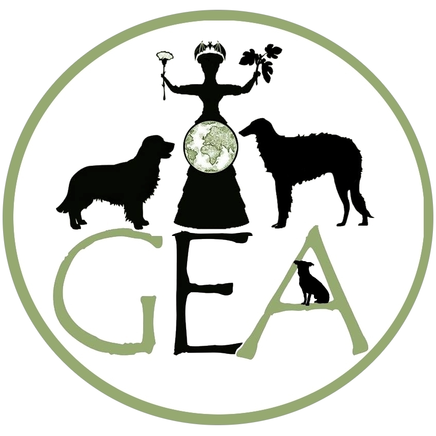 Logo Canile Rifugio Mondovì 281